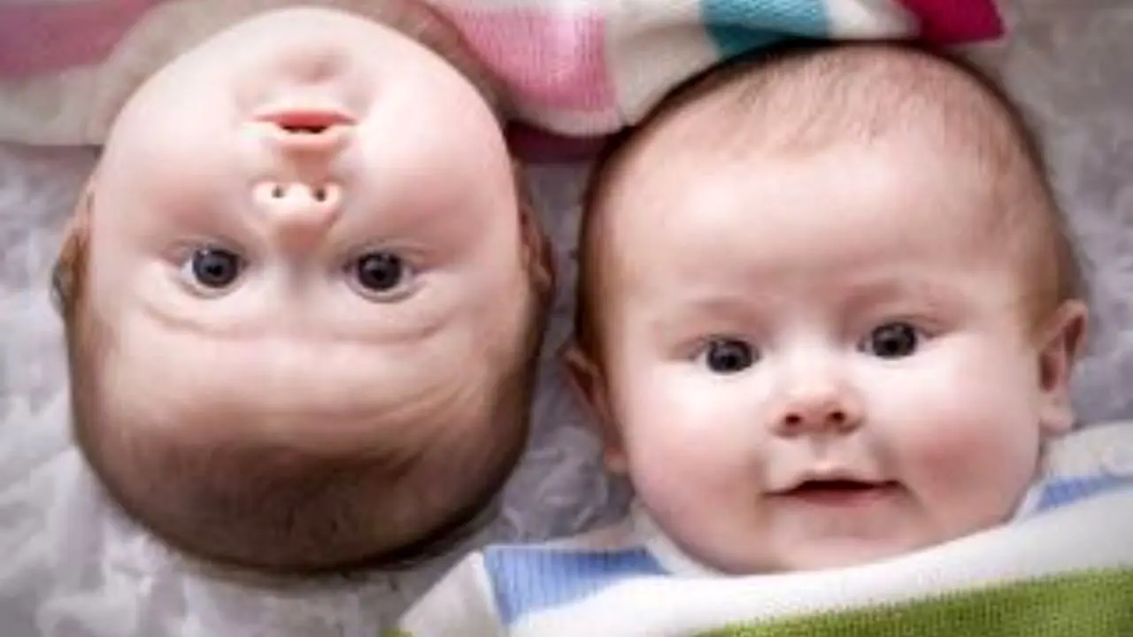 تولد بیش از 19هزار نوزاد دوقلو در سال 97