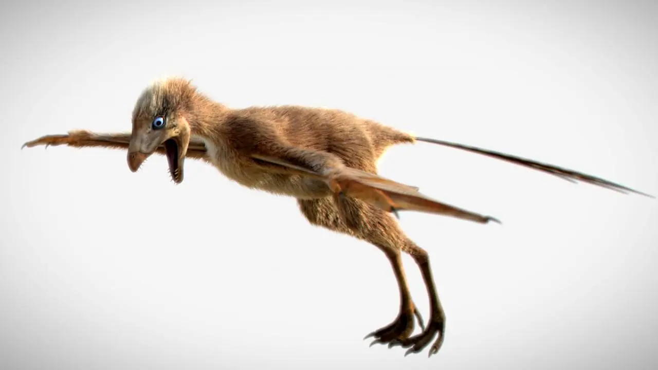 کشف فسیل یک دایناسور با بال‌هایی شبیه خفاش