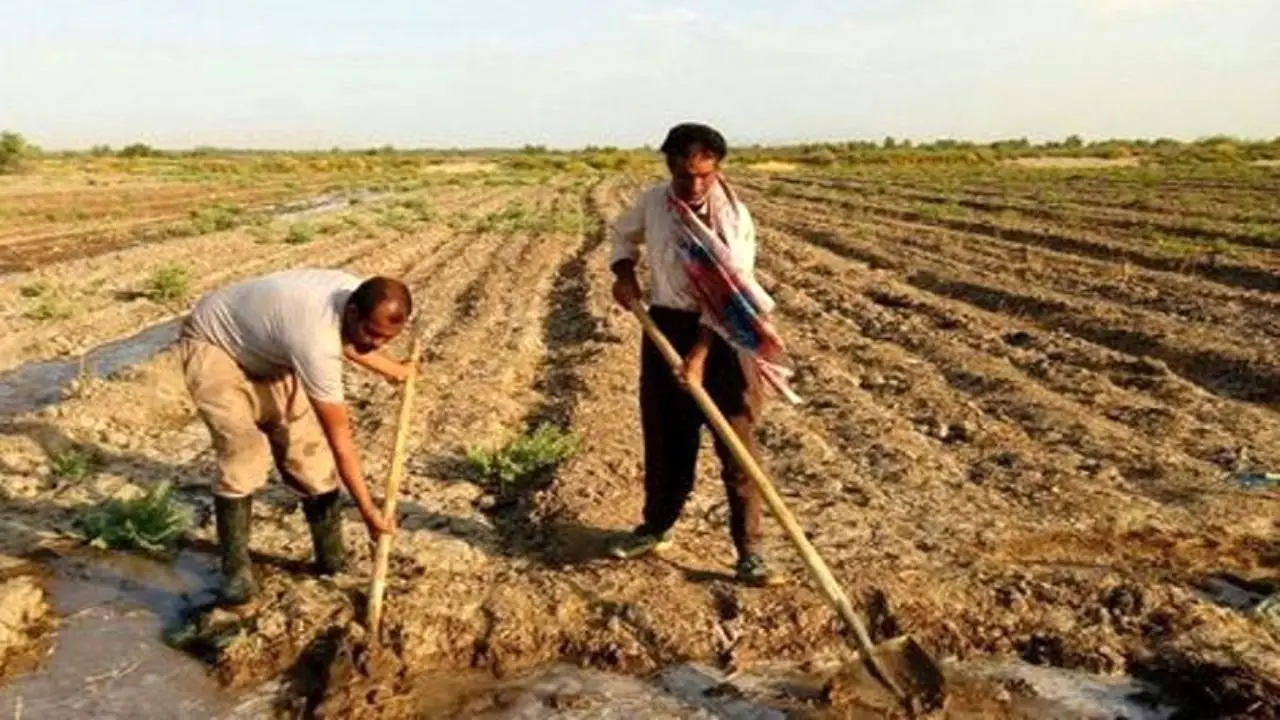 411 میلیارد تومان به کشاورزان خسارت‌دیده پرداخت شد