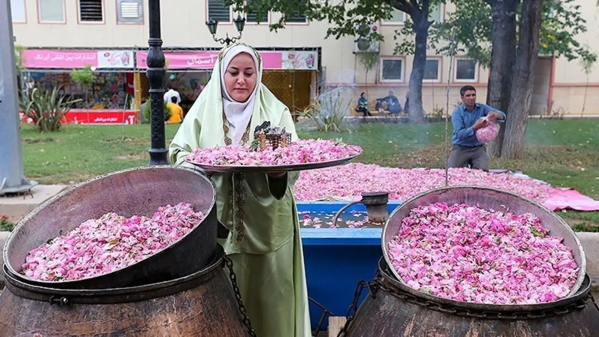 صادرات 7 میلیون دلاری گلاب در سال 97 / استفاده از پتانسیل‌های تولید گل برای افزایش درآمد ارزی