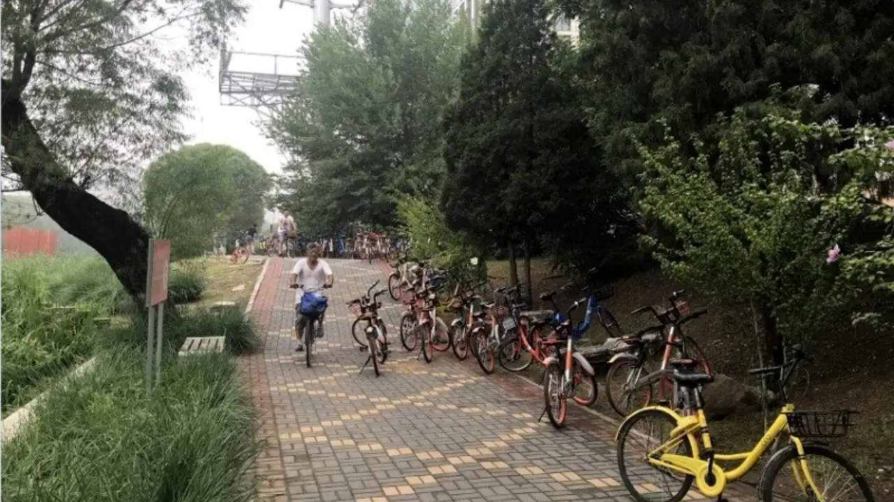 چین پیشگام در فرهنگ دوچرخه سواری