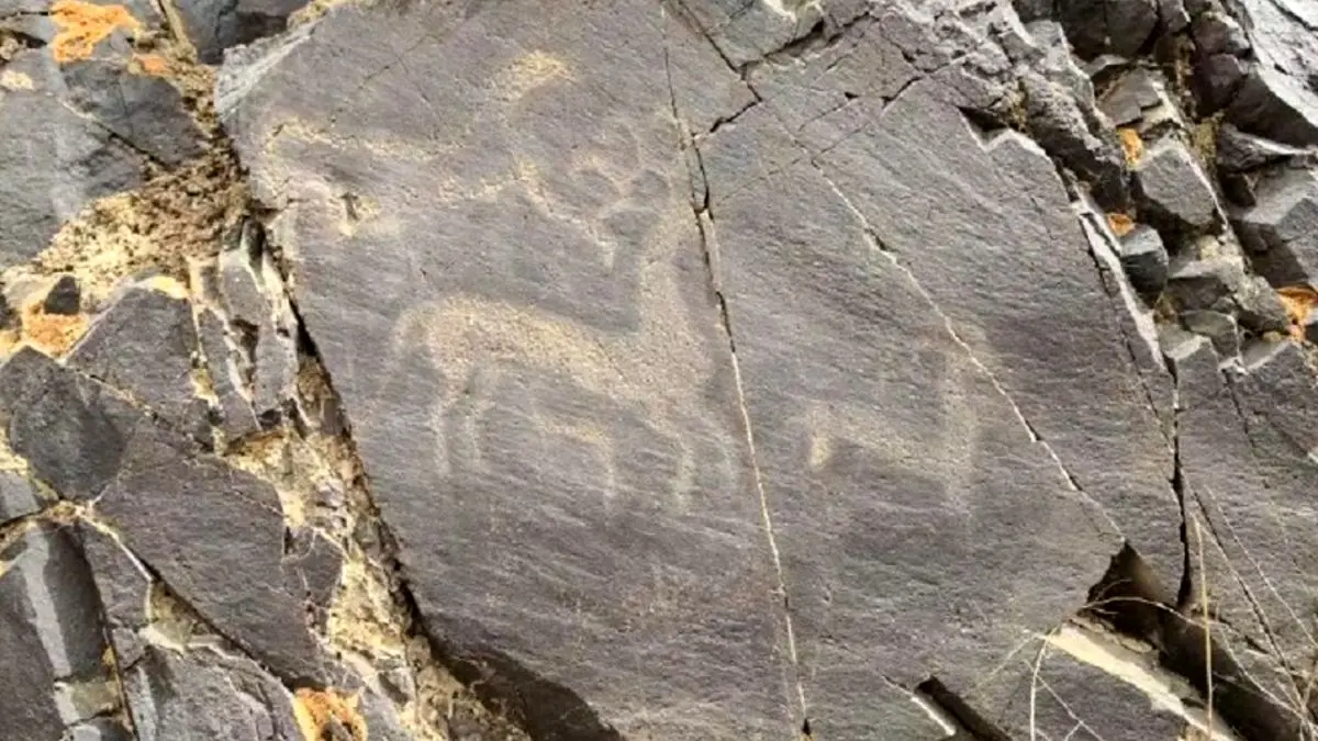 نقاشی‌های سنگی 3500‌ ساله در چین کشف شدند