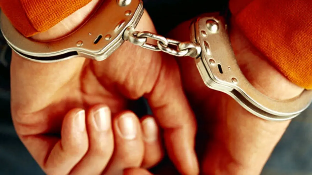 دستگیری دوقلوهای سارق