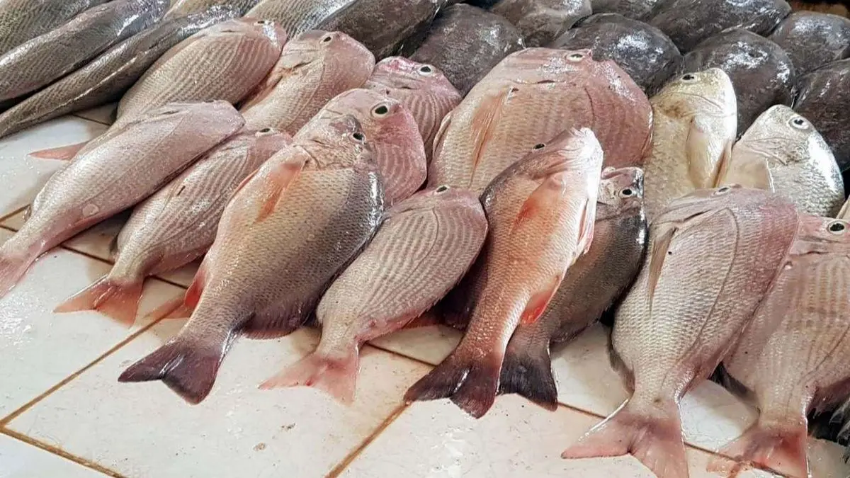 قیمت انواع ماهی در ماه مبارک رمضان