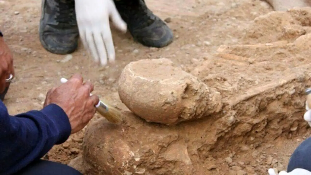 کشف استخوان‌های 100 ساله در قلعه تاریخی رضاآباد