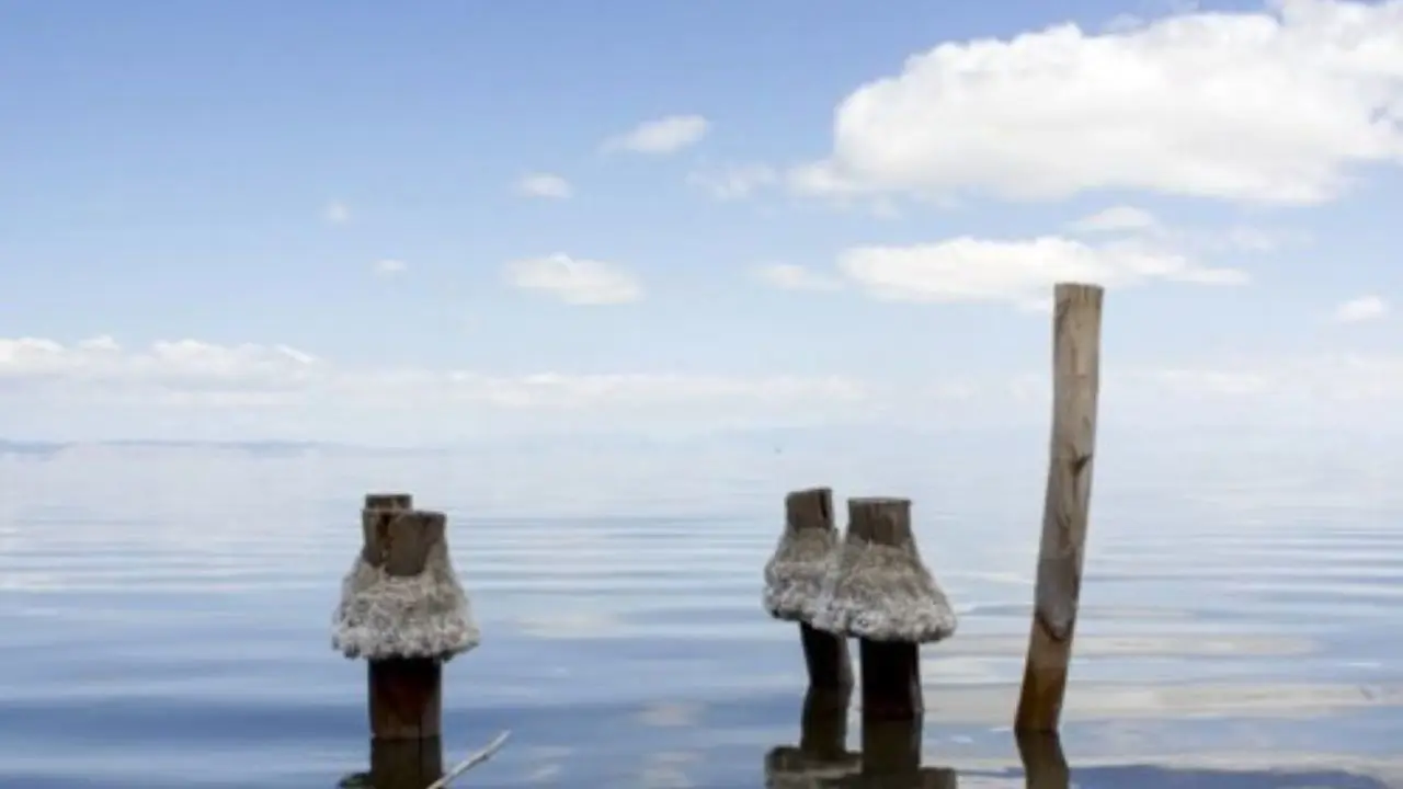 دریاچه ارومیه قابلیت احیا دارد