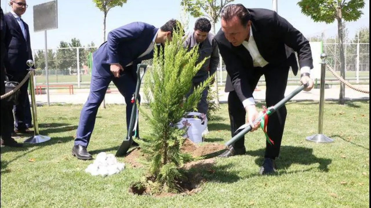 درختکاری ویلموتس در کمپ تیم ملی