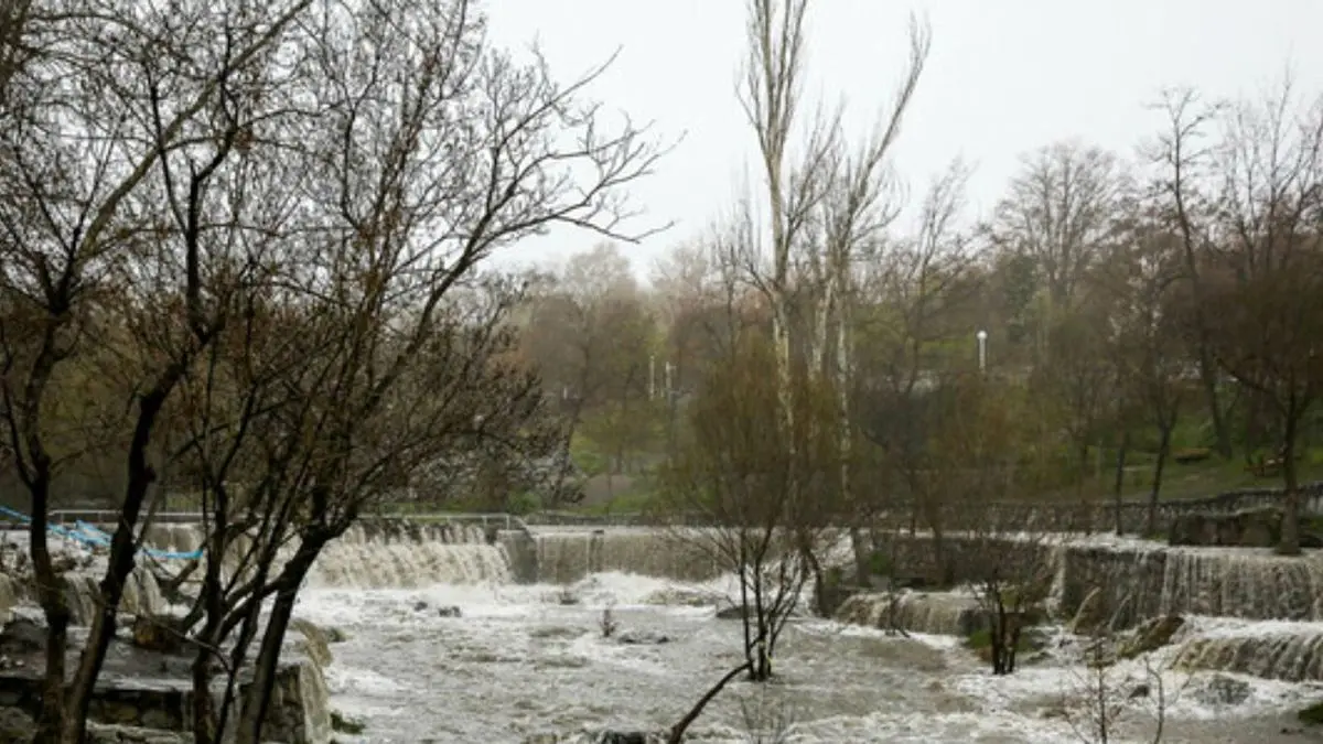 سازمان هواشناسی درباره احتمال سیلابی شدن مسیل‌ها هشدار داد
