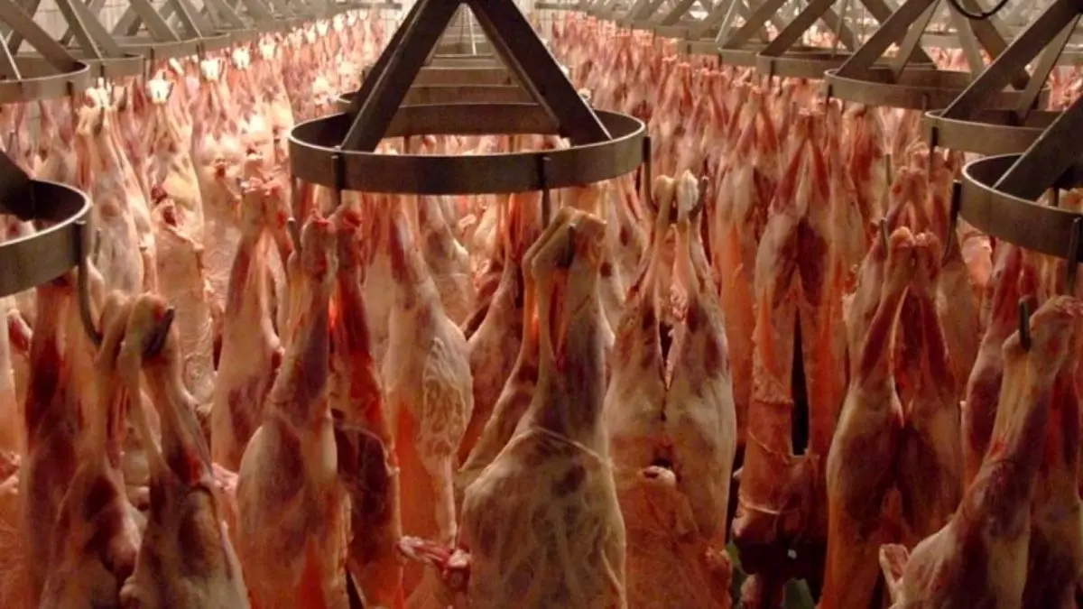 ترخیص گوشت از گمرک با دلار 9000 تومانی
