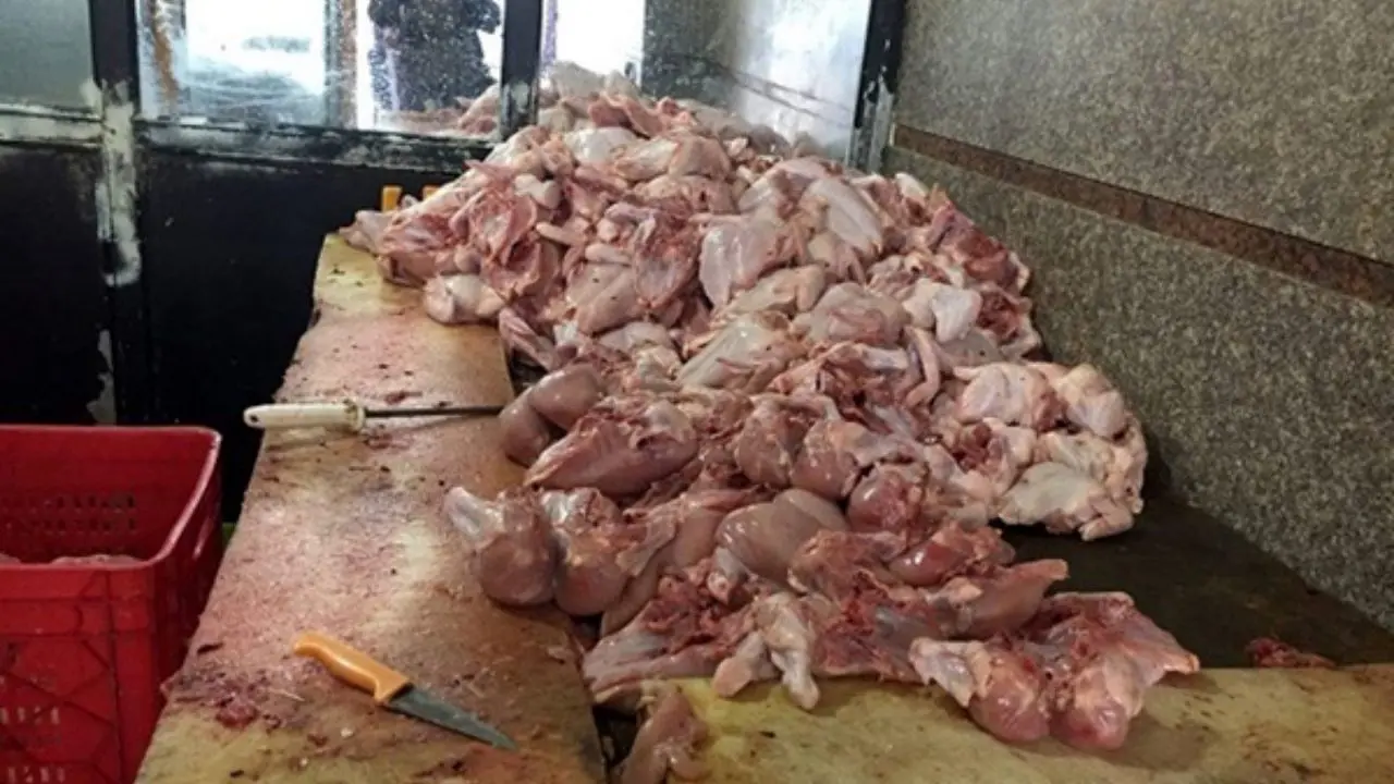 جلوگیری از توزیع 1.5 تن گوشت و مرغ فاسد در فست فودها