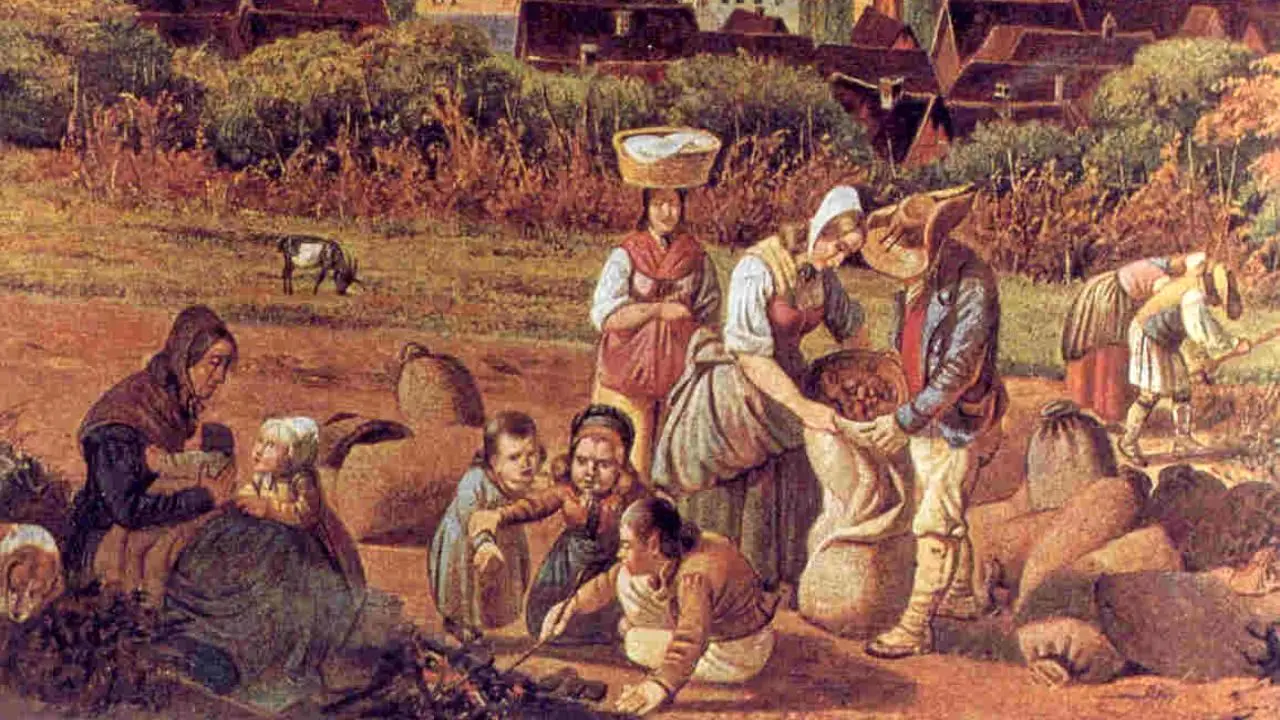 کشف یافته‌های جدید درباره سبک زندگی و رژیم غذایی انگلیس‌ها در قرون وسطی