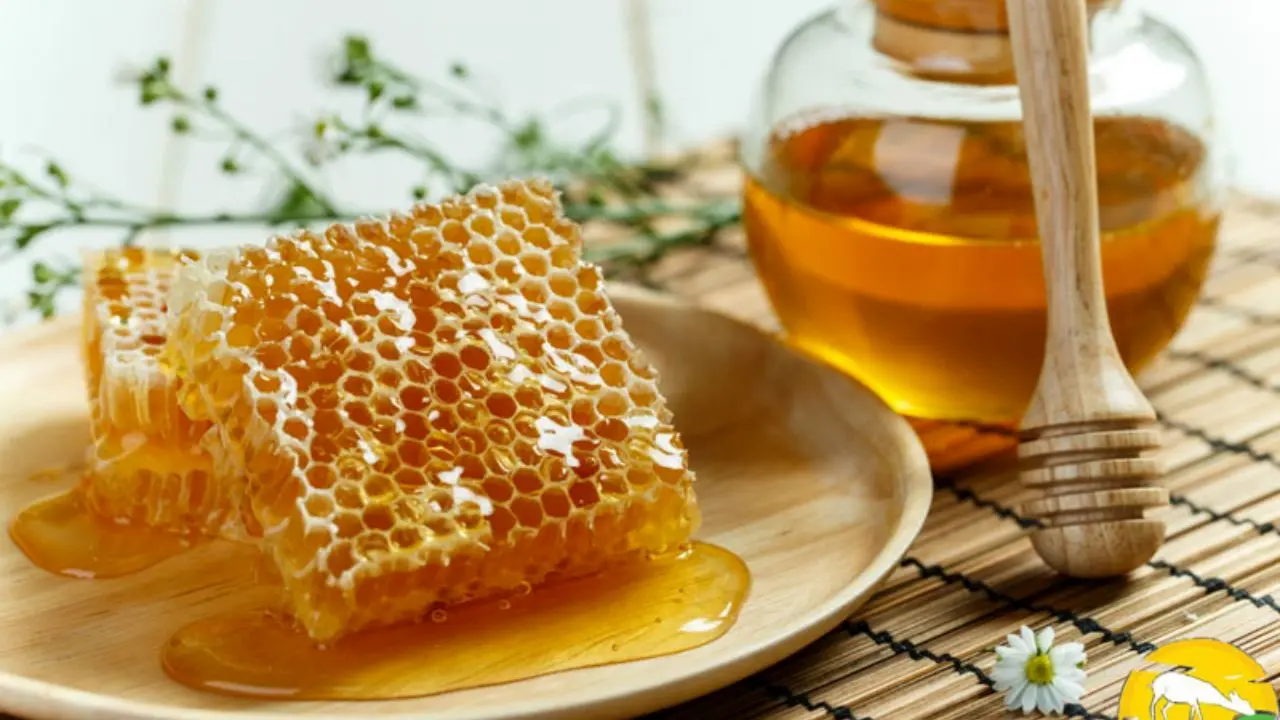 ایران سومین تولید کننده عسل در جهان است