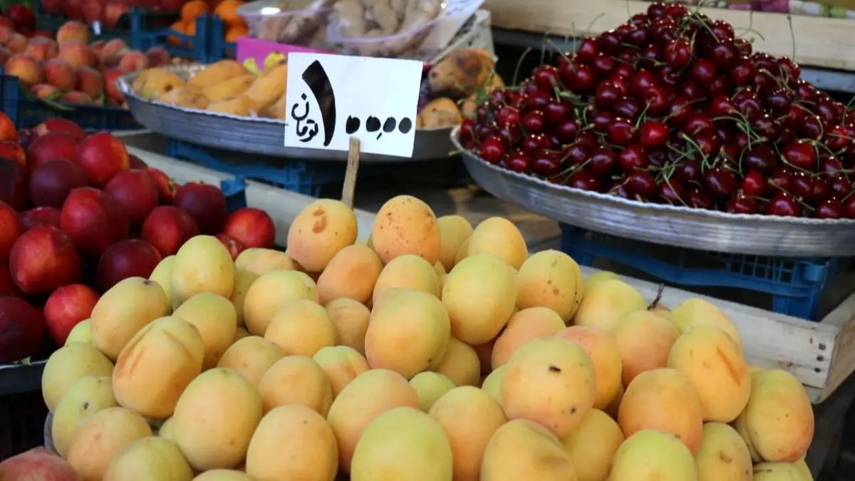 قیمت نجومی میوه‌های نوبرانه تابستانی + عکس