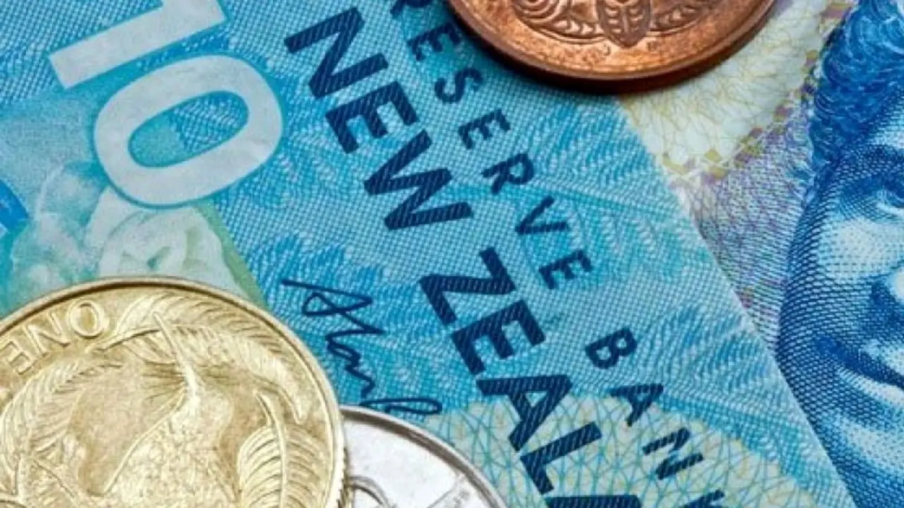 ابتکار نیوزلندی‌ها برای کاهش فقر و افزایش درآمد