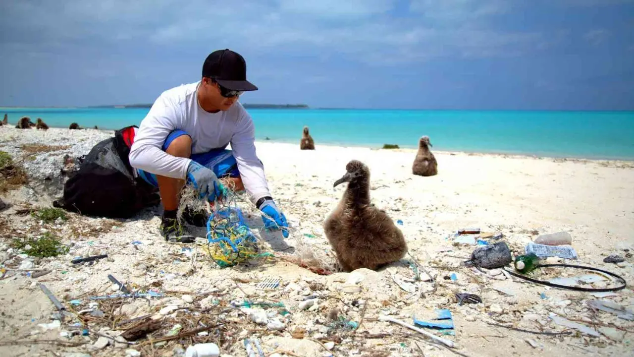پاکسازی سواحل ژاپن از آلودگی‌های پلاستیکی + ویدئو