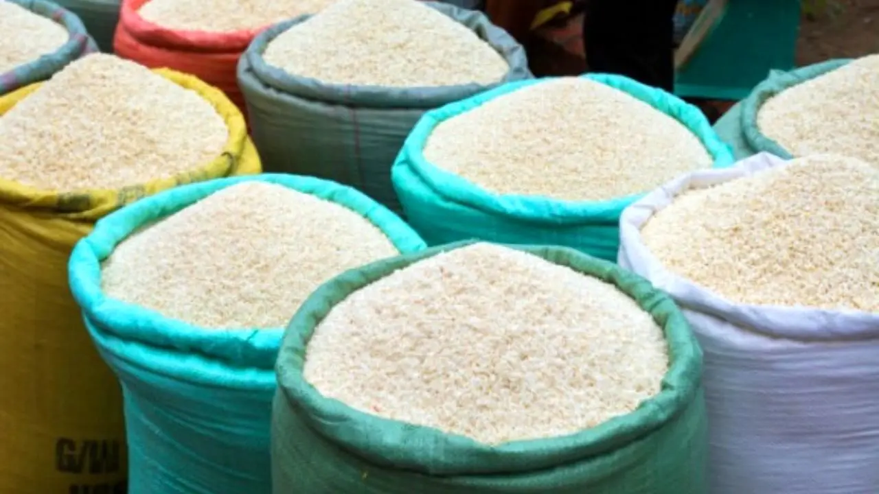 برنج خارجی مهمان ناخوانده سفره‌های مردم مازندران