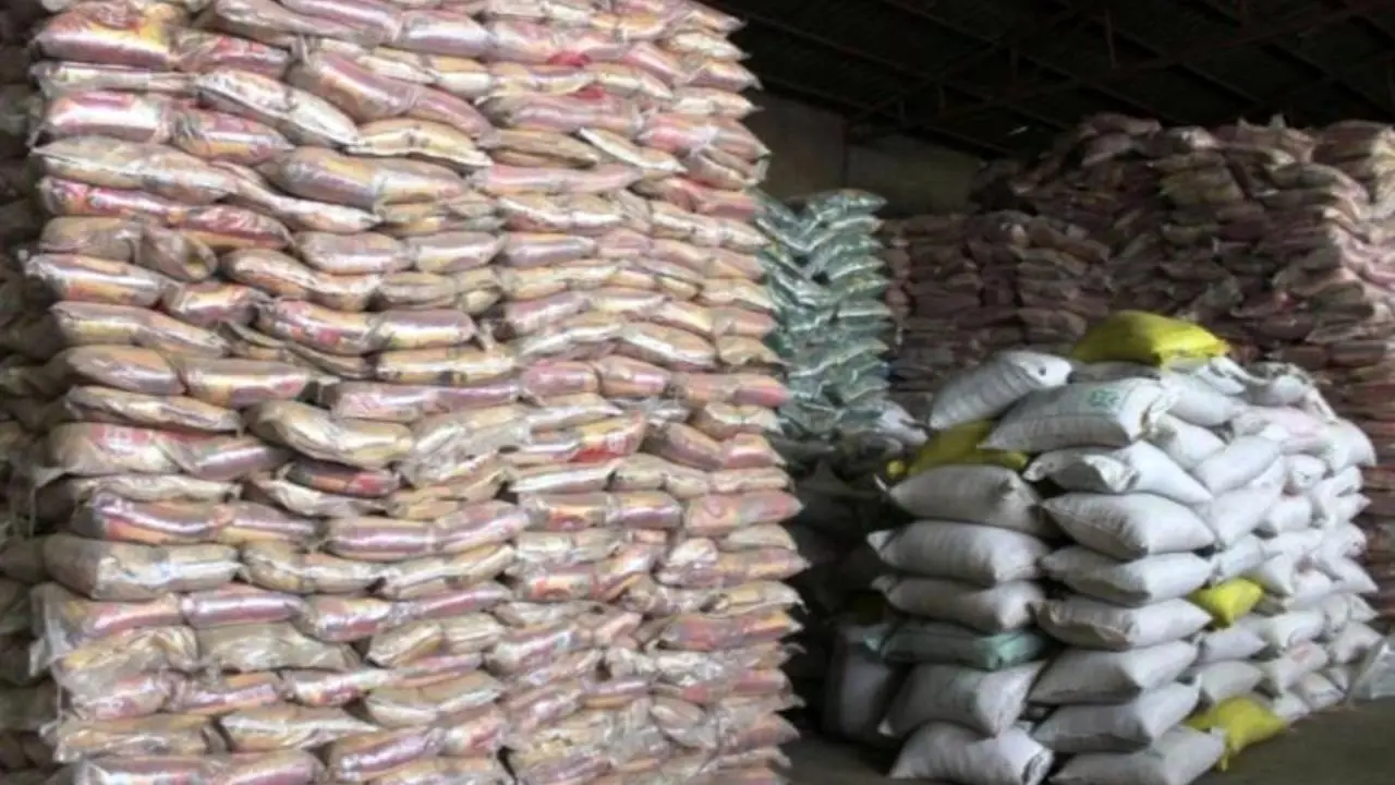 برنج‌های ناخالص شهروند آزمایش می‎شوند
