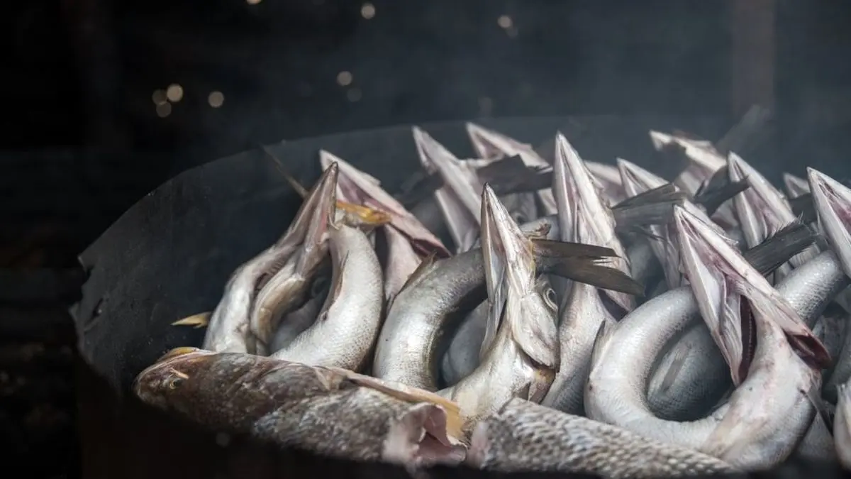 در یک سال گذشته مردم چقدر ماهی خوردند؟