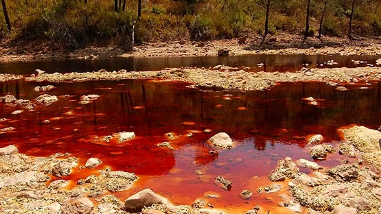 رودخانه‌های جهان آلوده به سطوح خطرناک آنتی‌بیوتیک‌