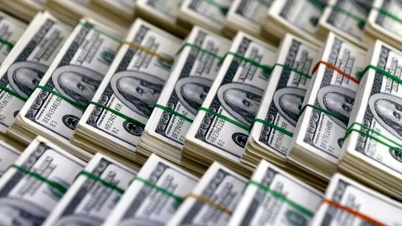 بانک مرکزی تخصیص ارز کالاهای اساسی را به مجلس می فرستد