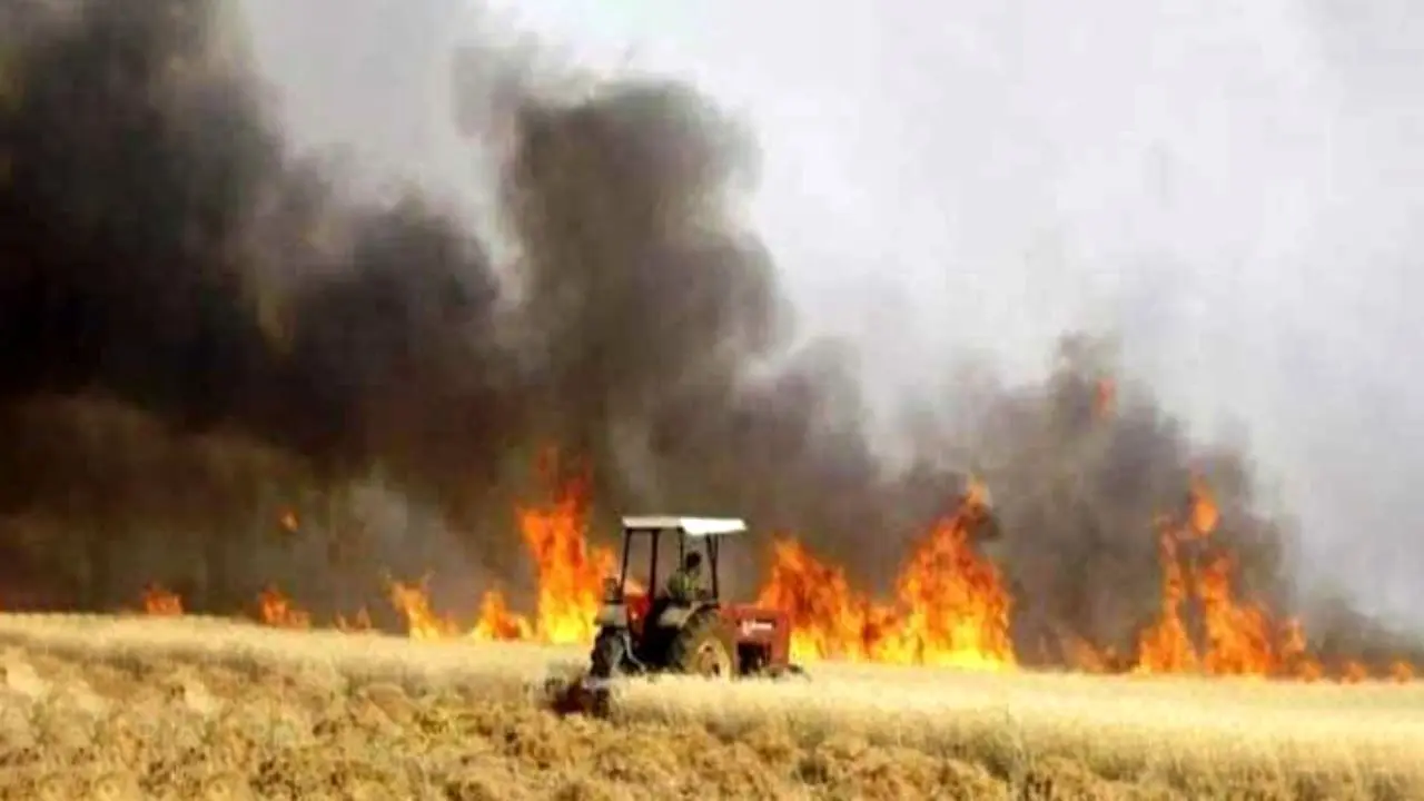 ریاض و امارات در آتش‌سوزی محصولات زراعی عراق دست دارند