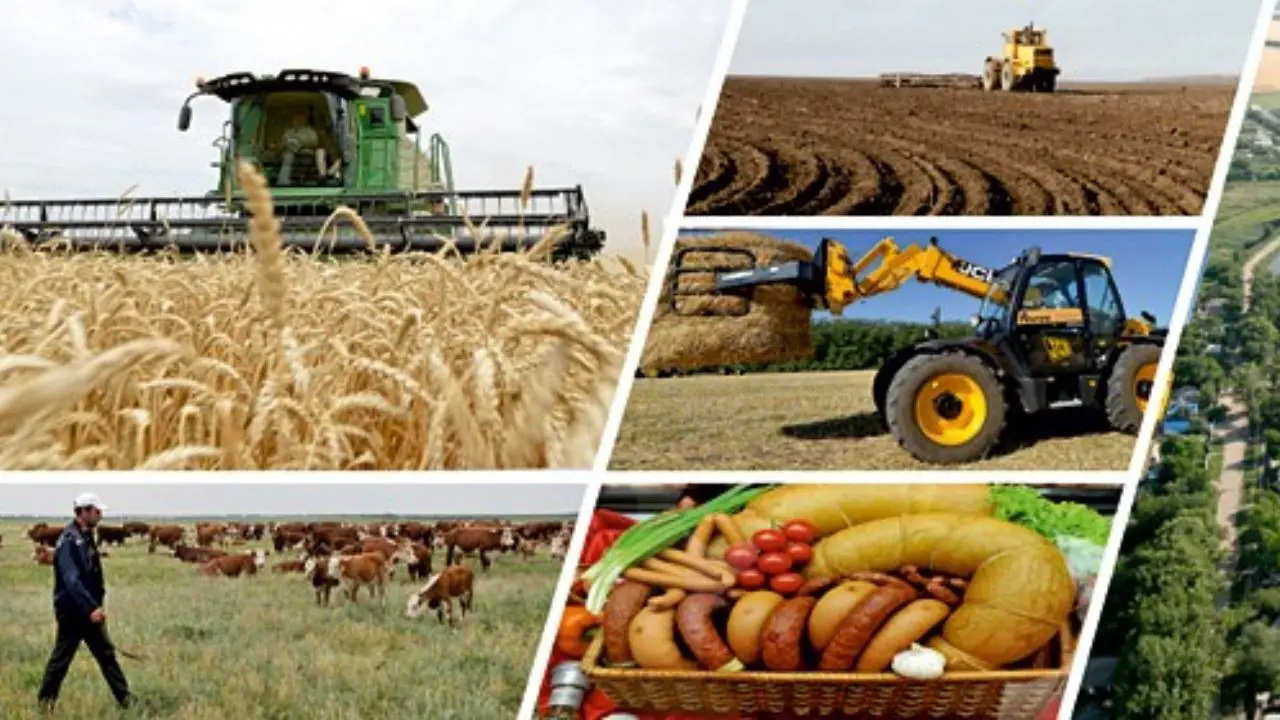 نرخ تورم سالانه زراعت، باغداری و دامداری 47.8 درصد است