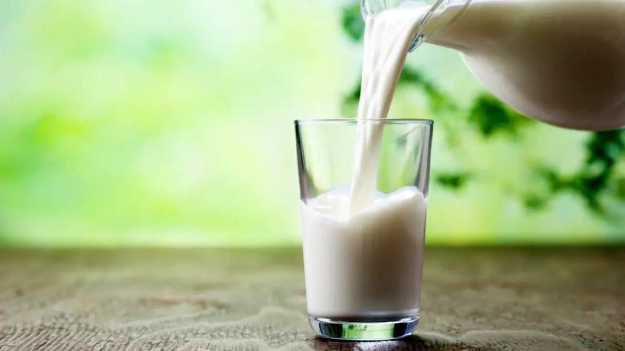مصرف شیر بر سلامت مغز تاثیر مستقیم دارد