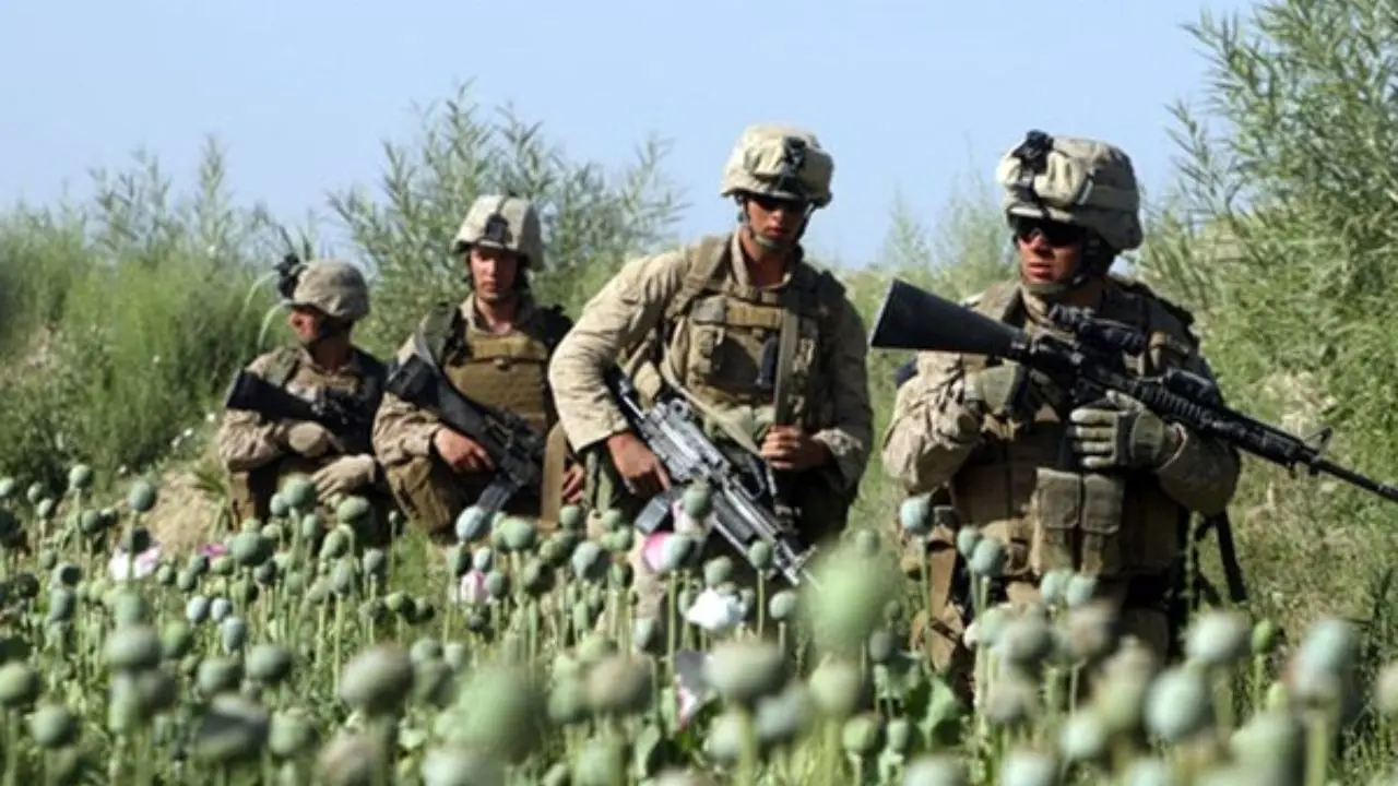 حضور آمریکا در افغانستان باعث افزایش چهار برابری تولید مواد مخدر شده است