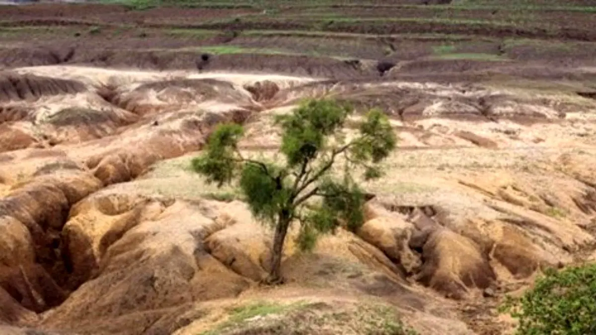 سالانه 2 میلیارد تن خاک ایران مورد فرسایش قرار می‌گیرد