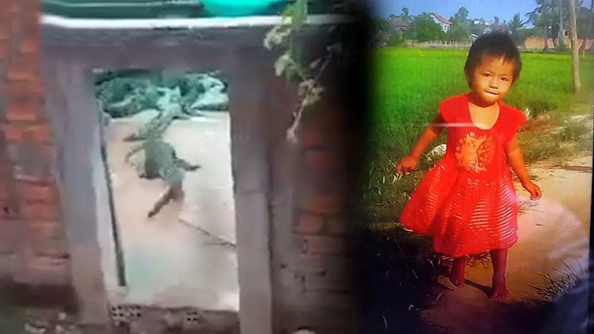 سقوط وحشتناک دختر خردسال داخل استخر کروکودیل‌ها + ویدئو