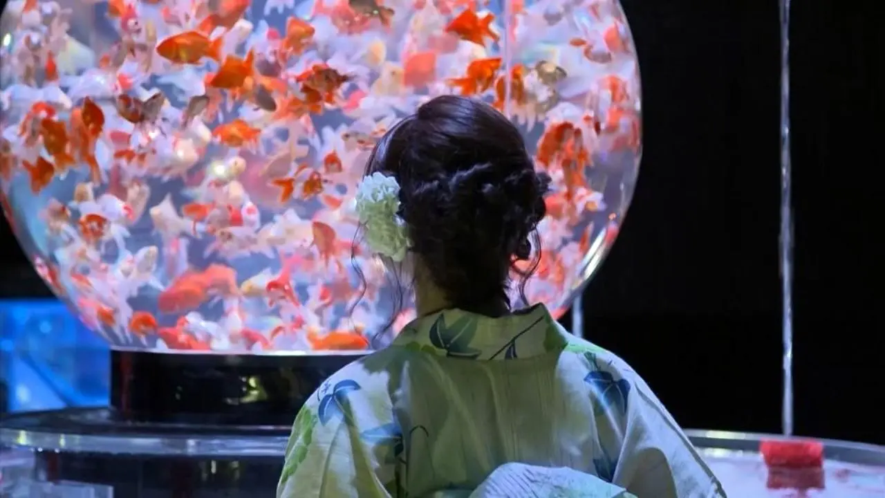 نمایش 10 هزار ماهی در نمایشگاه هنر آکواریوم ژاپن  + ویدئو