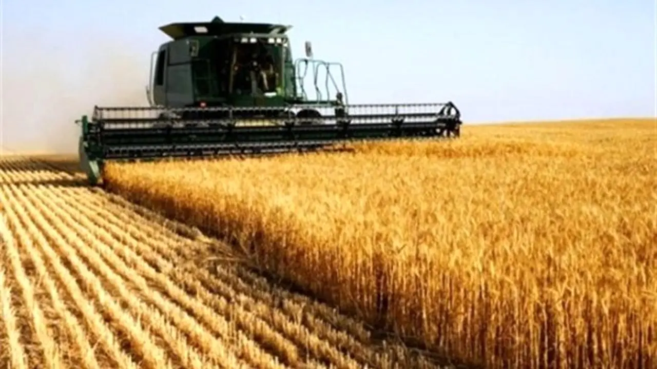 خرید تضمینی 4 میلیون و 824 هزار تن گندم در کشور