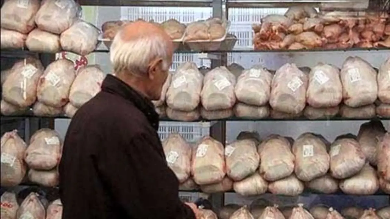 کمبود ریز مغذی‌ها یکی از علل نوسان نرخ مرغ در بازار/ قیمت مرغ به 14 هزار و 500 تومان رسید