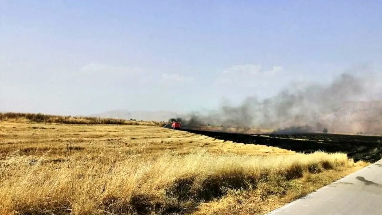 آتش سوزی در 57 هزار متر مربع از اراضی کشاورزی استان مرکزی
