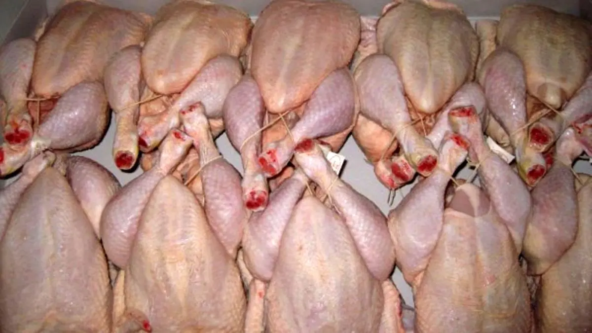 مرغ به کانال 14هزارتومان پرکشید/ سنگ هم ببارد صادرات نباید متوقف شود