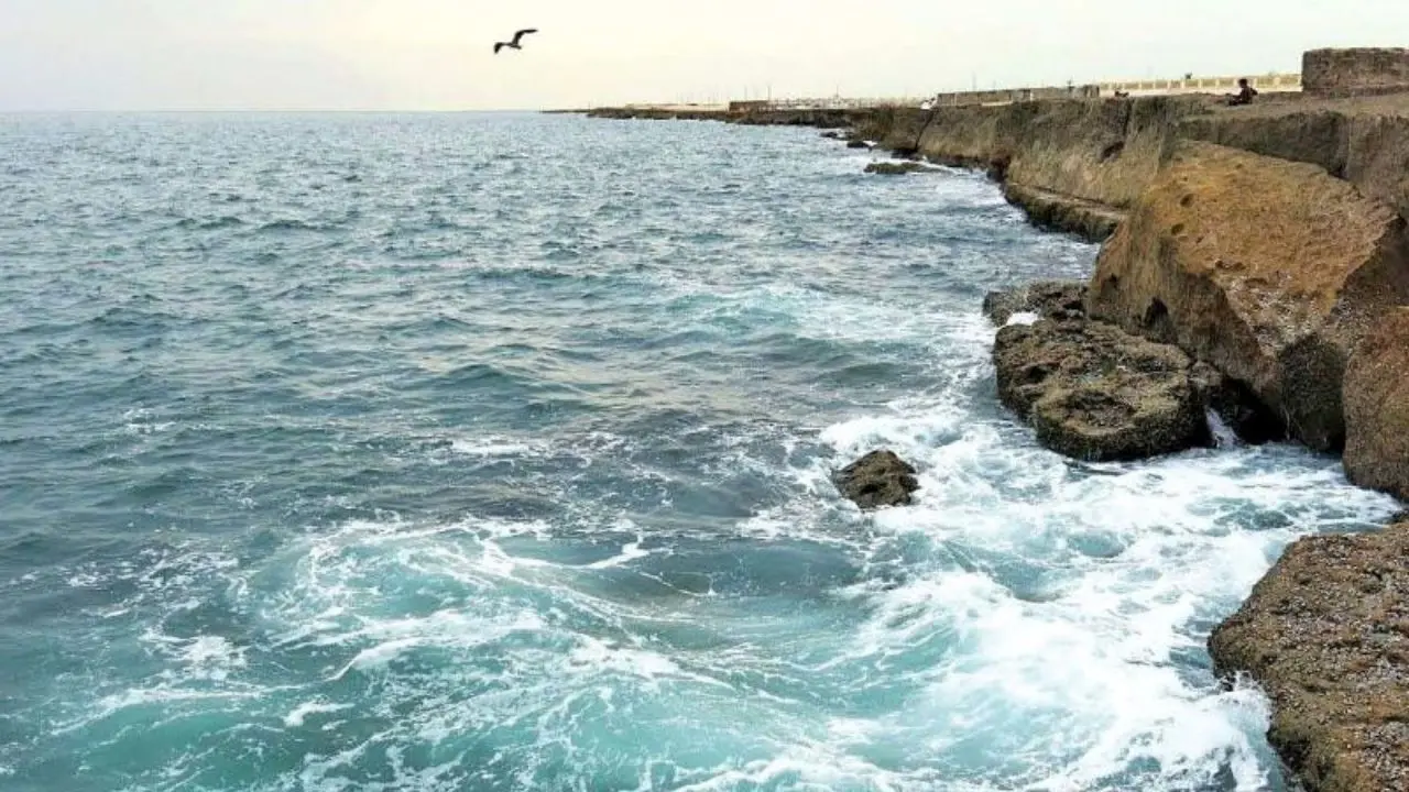 انتشار اطلس زیستگاه‌های حساس ساحلی و دریایی کشور