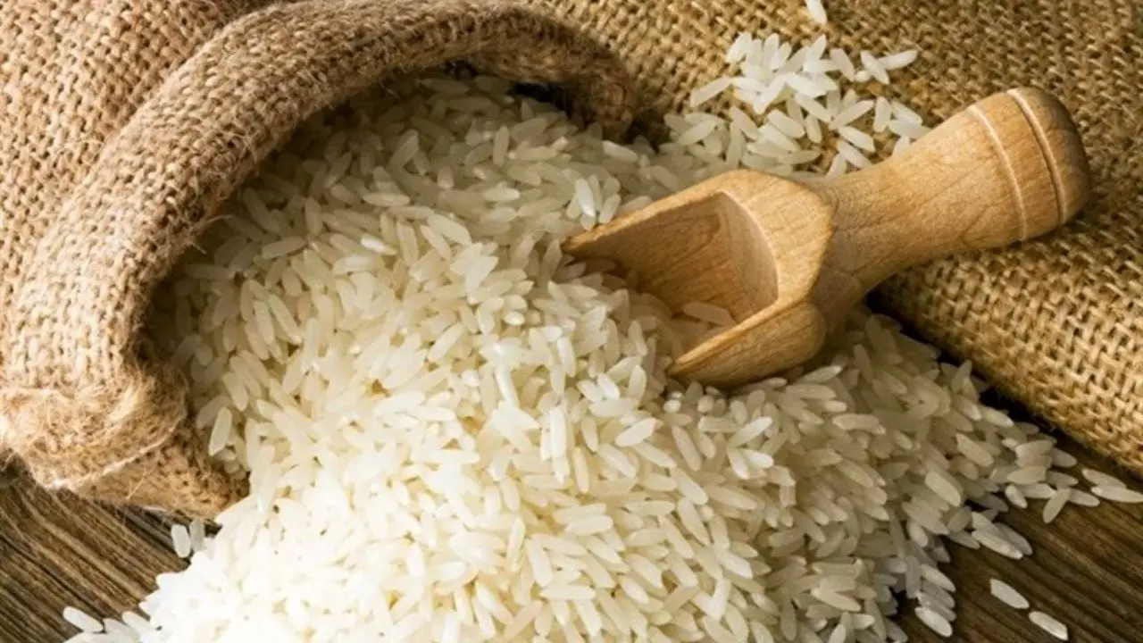 3 رقم جدید برنج معرفی شد