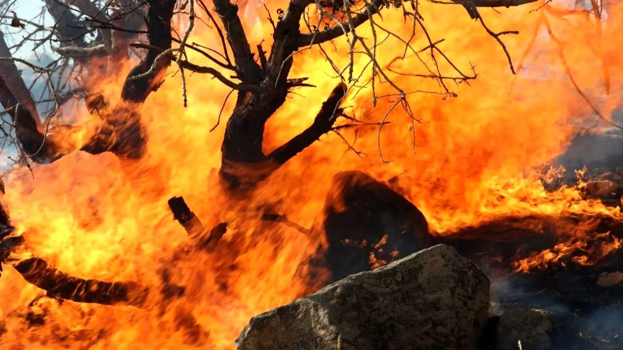 وقوع آتش‌سوزی مهیب جنگلی در سیبری + ویدئو
