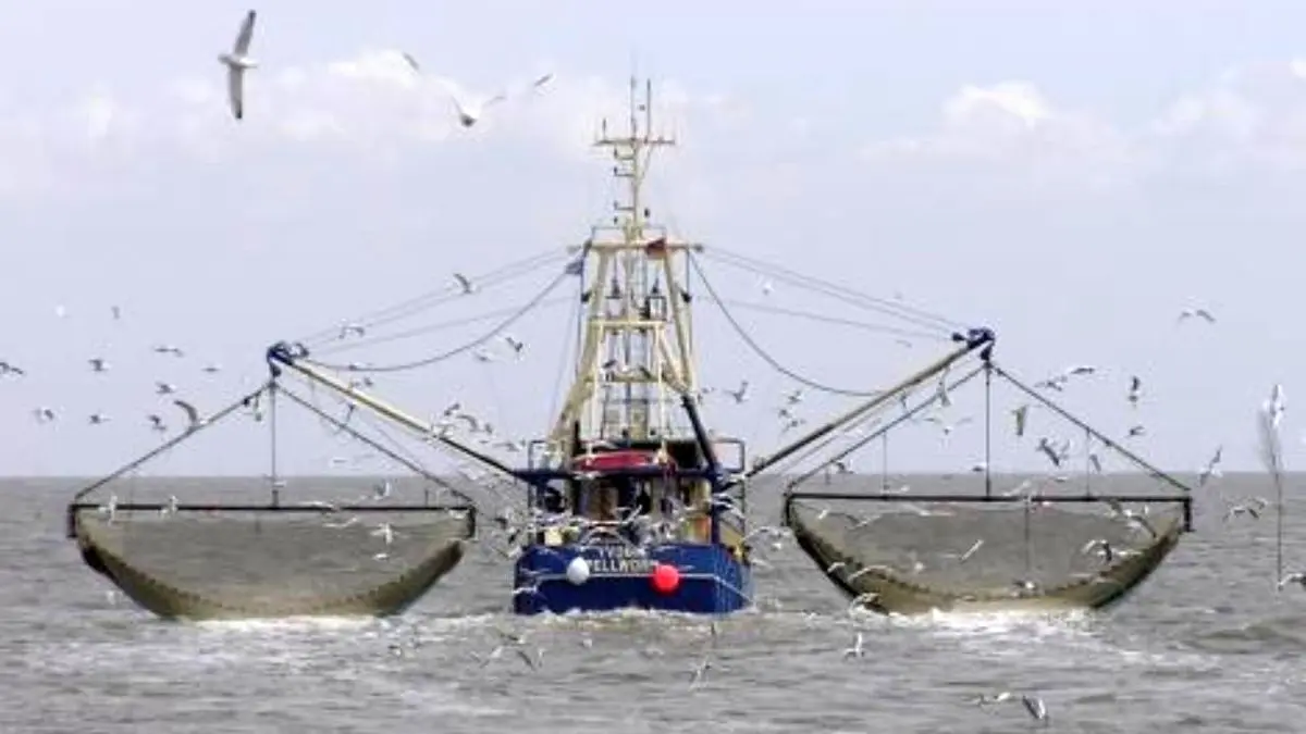 صید بی‌رحمانه ماهی در کنتاکی آمریکا + ویدئو