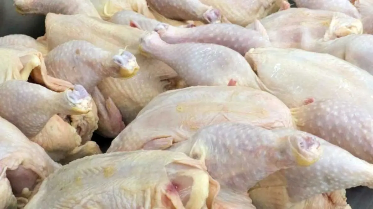 افزایش قیمت گوشت مرغ توسط مرغداران تخلف است/ گرما و دلالان عوامل دیگر گرانی!