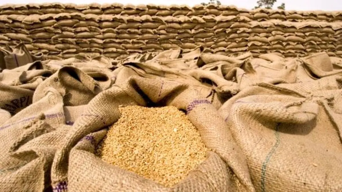 ضایعات گندم در استان اردبیل به حداقل می‌رسد