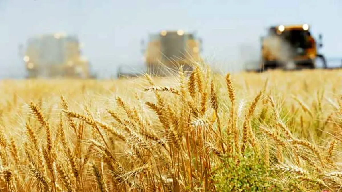 مانع خودکفایی محصولات استراتژیک کشاورزی چیست؟