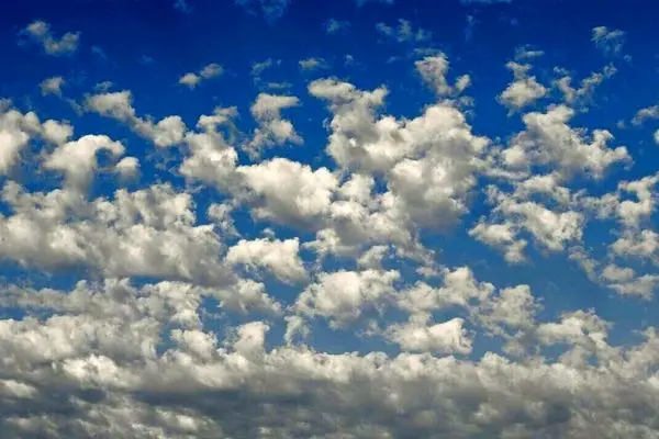 رنگ سال ۲۰۲۶ رسماً اعلام شد