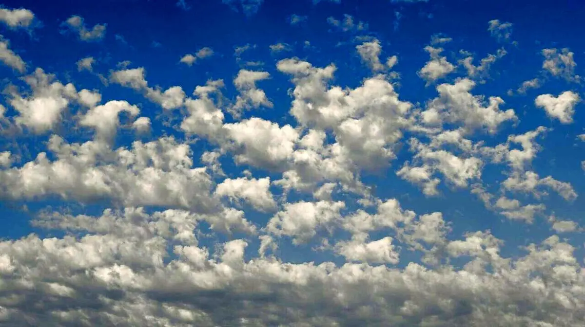 رنگ سال ۲۰۲۶ رسماً اعلام شد