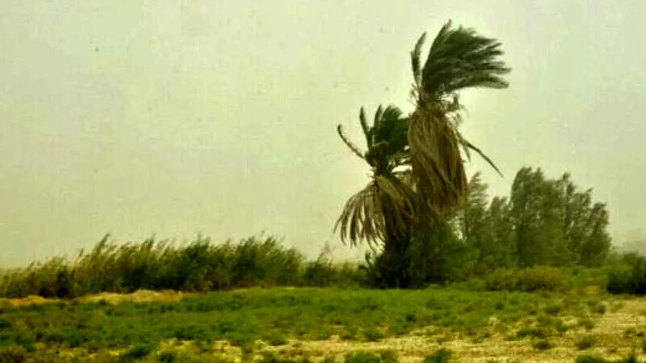 وزش طوفان 115 کیلومتر بر ساعت در سیستان‌و‌بلوچستان