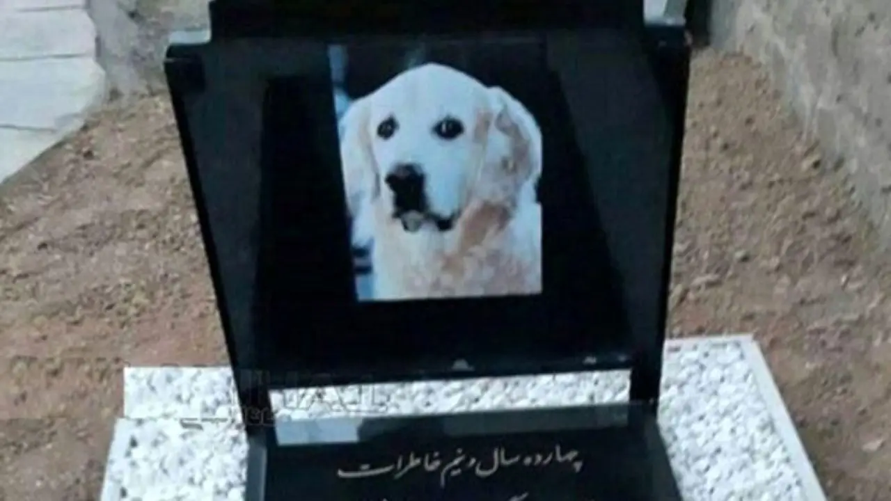 دستگیری عاملان تدفین سگ در مسجد