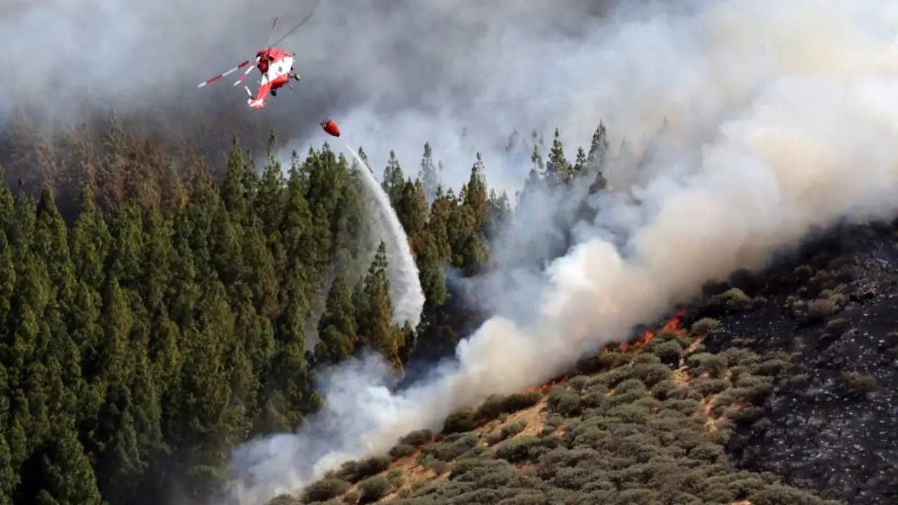 آتش‌سوزی در جنگل‌های جزایر قناری + ویدئو