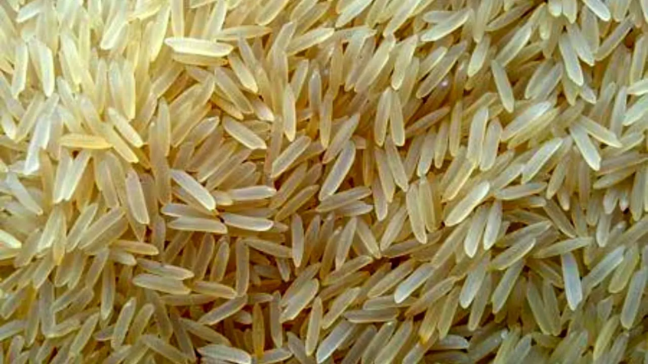 قیمت رسمی برنج خارجی اعلام شد