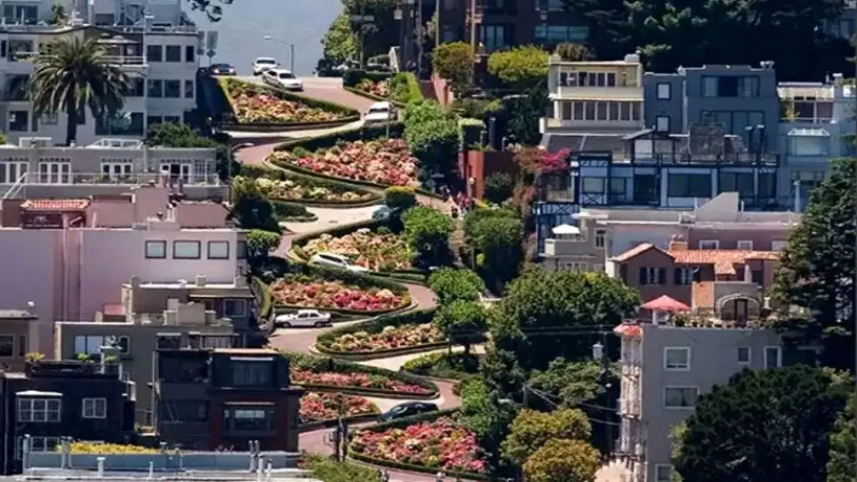 قیمت اجاره مسکن در سان‌فرانسیسکو چقدر است؟