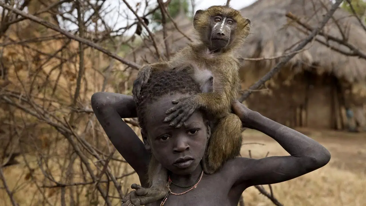 کودکان آفریقایی را کدامیک از حیوانات و حشرات می کشند؟ شیر، فیل، اسب آبی، تمساح یا پشه؟